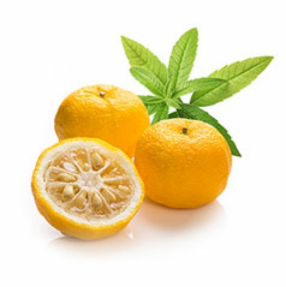 Cucina Fruits and Passion Nourishing hand creams Great purse/travel size 60ml - Picture 4 of 10